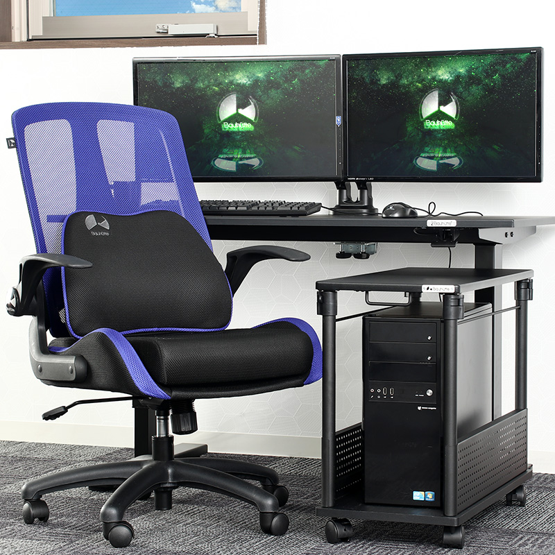 Lumbar Support