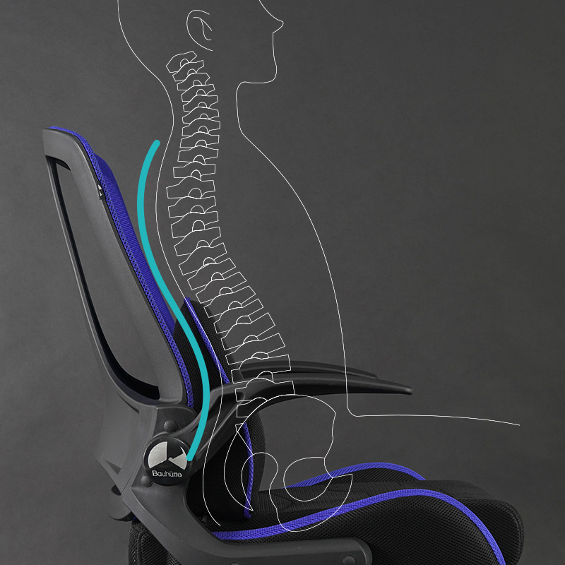 Lumbar Support