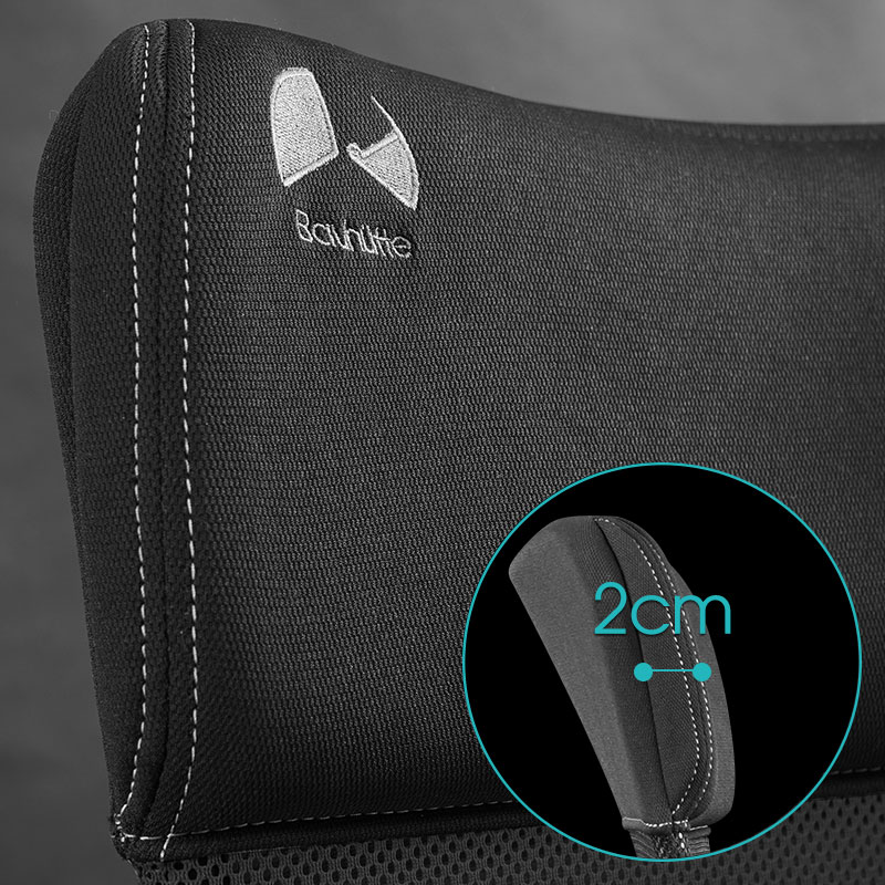 Back Cushion